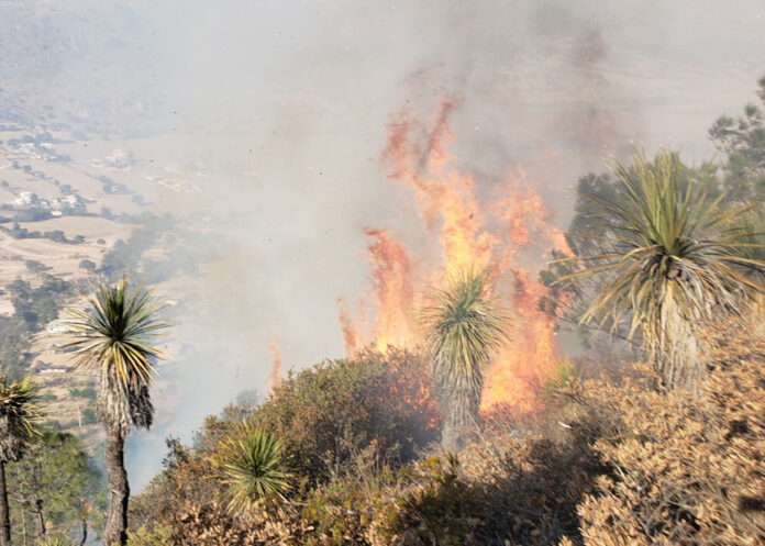 incendios-forestales