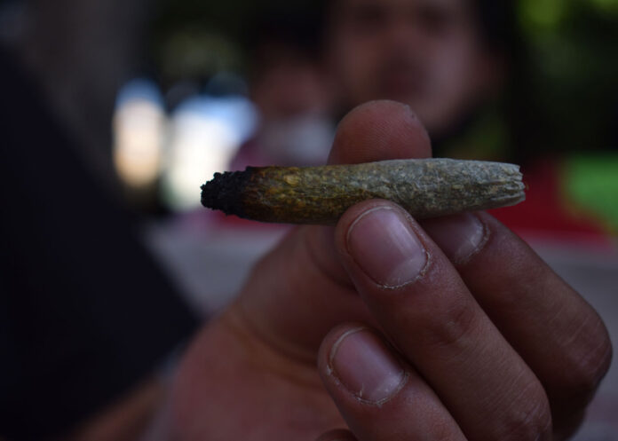 marihuana marihuana