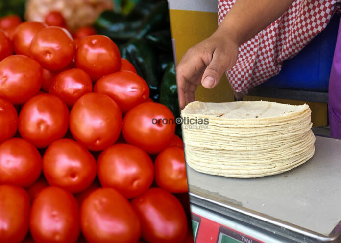 canasta-basica
