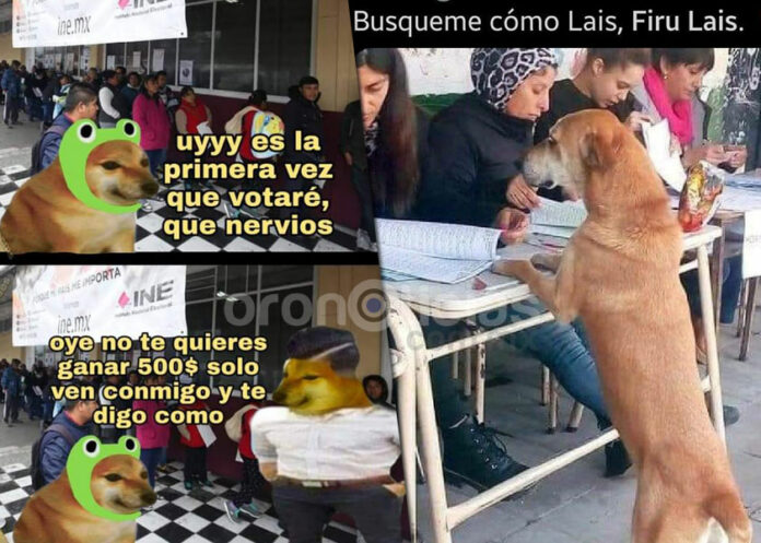 memes-elecciones