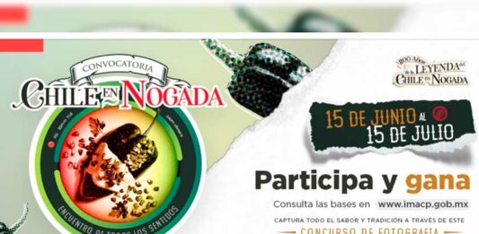 publicación-chiles-nogada