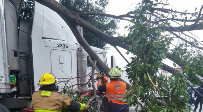 Árboles caídos y derrumbes, saldo de la lluvia en Puebla