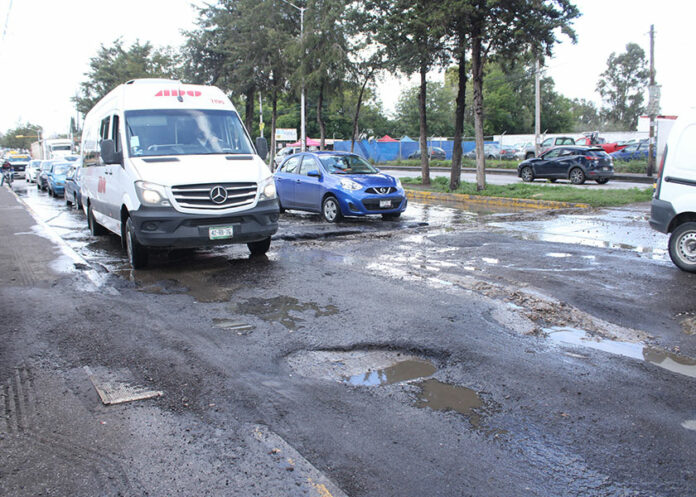 bache-11-sur