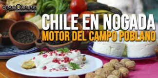 Reportaje: Chile en Nogada, motor del campo poblano