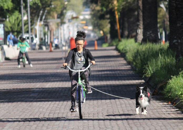 puebla-ciclovias