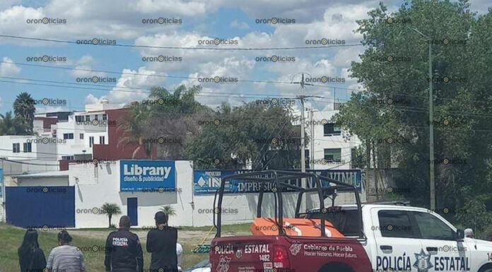 Motociclista muere en Periférico por culpa de ¡un caballo!