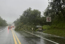 Barbosa podría contratar deuda para gastos por “Grace”