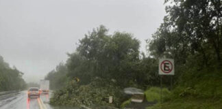 Barbosa podría contratar deuda para gastos por “Grace”