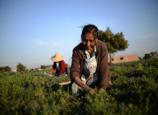 Agricultores poblanos cambiaron modo de venta ante Covid-19