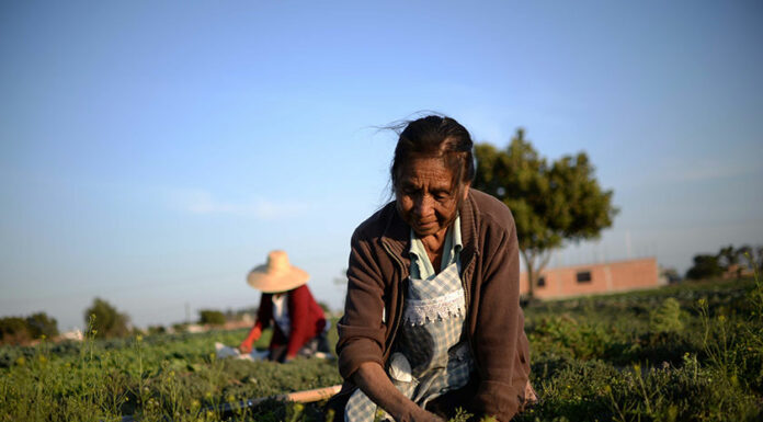 Agricultores poblanos cambiaron modo de venta ante Covid-19