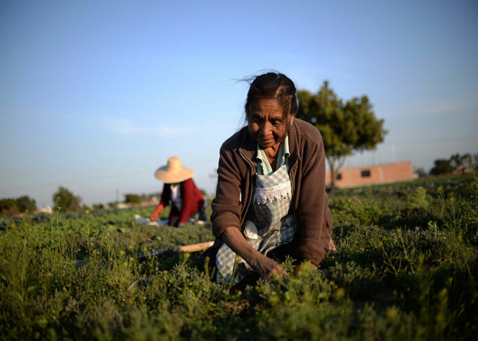 agricultores-poblanos