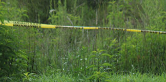 Torturan y ejecutan a tres personas en Jopala