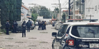 Rescatan a 200 migrantes centroamericanos en Aparicio