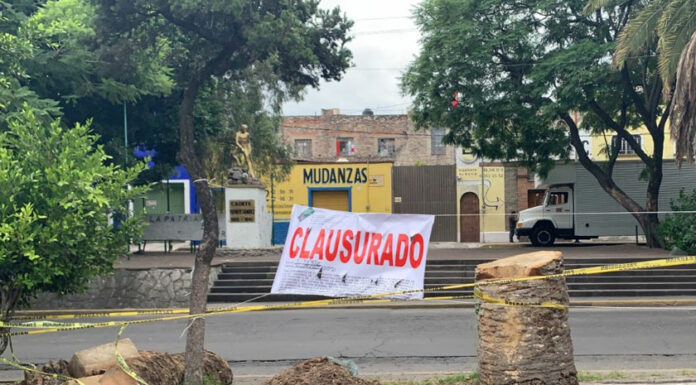 Clausura Gobierno del Estado tala de árboles en zona aledaña al CENHCH