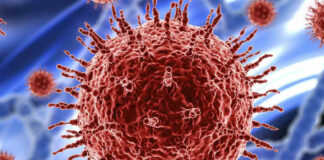 Ómicron no será la última variante de COVID: OMS