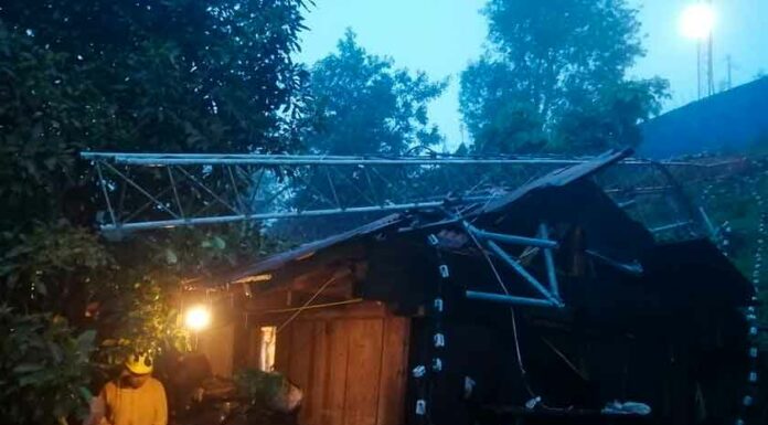 Huracán Grace tiró árboles y cables de energía en Zacatlán grca-huracán-zacatlán