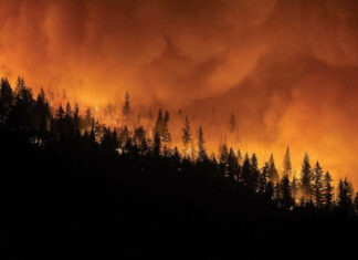 Incendio de California ha destruido más de 100 casas