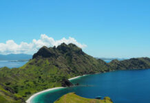 Indonesia sigue adelante con la construcción de “Jurassic Park”