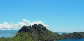 Indonesia sigue adelante con la construcción de “Jurassic Park”