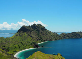 Indonesia sigue adelante con la construcción de “Jurassic Park”