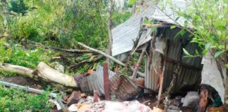 AMLO anuncia apoyos directos a damnificados por Grace en Puebla muerto-huracán-grace