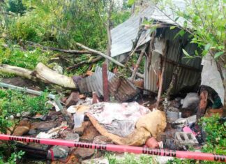 Un muerto por huracán ‘Grace’ en Tenango de las Flores muerto-huracán-grace