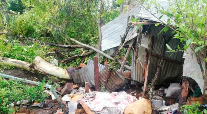 Un muerto por huracán ‘Grace’ en Tenango de las Flores muerto-huracán-grace