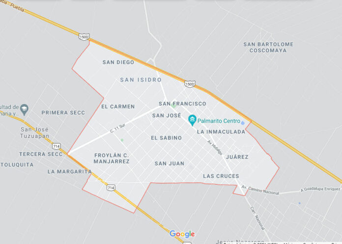 palmarito