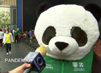 ¡Pandemio-Chan! El panda mexicano que triunfa en Japón