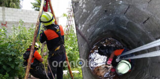 Rescatan a perrito que cayó en pozo de 5 metros en colonia Minerales
