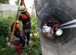 Rescatan a perrito que cayó en pozo de 5 metros en colonia Minerales