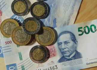 Diputado de Morena plantea salario de $425 diarios para primer empleo