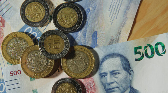 Diputado de Morena plantea salario de $425 diarios para primer empleo