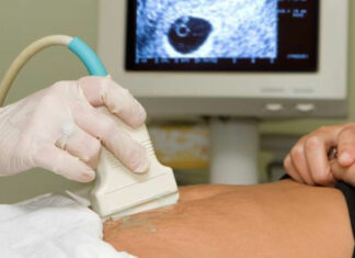 “Derechos humanos no se consultan”: Diputada PT sobre aborto