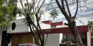 Más de 80 árboles presentan plaga en colonia El Mirador, reporte Oro Noticias