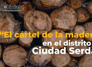 Reportaje: “El cártel de la madera” en Ciudad Serdán