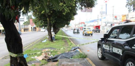 muere-indigente-bulevar-norte