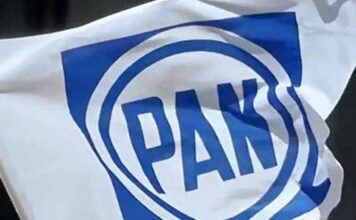 ¿Repetirá el PAN en Gto?