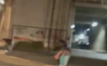 Abren tolvas y roban trigo de vagones de tren en Xochimehuacan