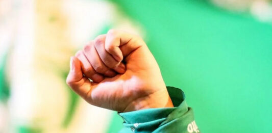 scjn-aborto