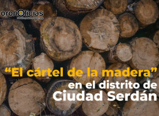 VIDEO: “El cártel de la madera” en Ciudad Serdán