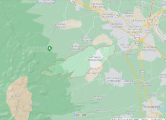 Pobladores detienen a presunto talamontes en Teotlalcingo
