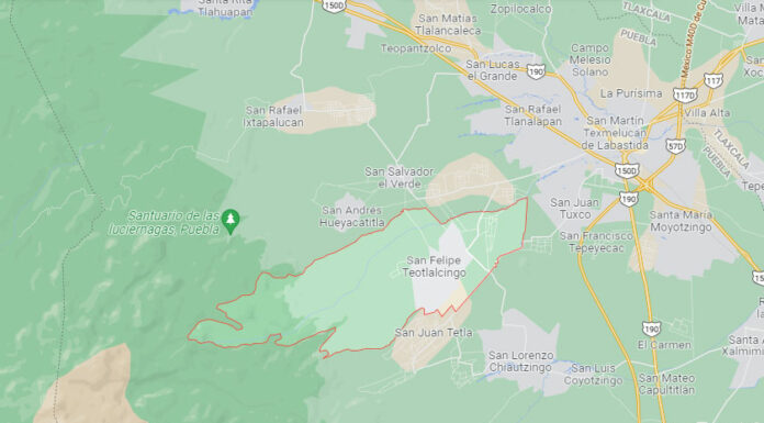 Pobladores detienen a presunto talamontes en Teotlalcingo