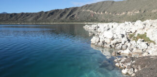 Daño irreversible a arrecifes milenarios en Laguna de Alchichica laguna