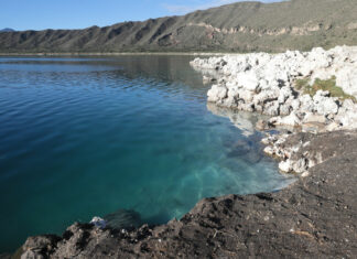 Daño irreversible a arrecifes milenarios en Laguna de Alchichica laguna