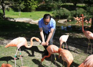 Cónsul de Honduras en México se reúne con Fundación Educación por la Experiencia