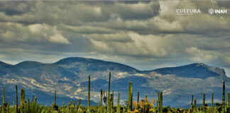 Investigarán tiraderos clandestinos en Reserva Tehuacán-Cuicatlán