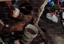 Acumulador compulsivo inquieta a vecinos de Fraccionamiento Bicentenario