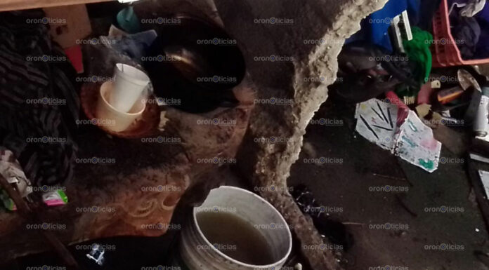 Acumulador compulsivo inquieta a vecinos de Fraccionamiento Bicentenario