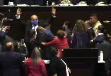 Legisladores se agarran a golpes en la Cámara de Diputados